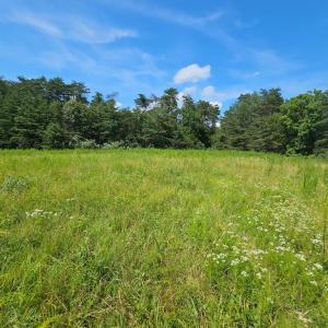 Photo #35 of 11145 BRENT TOWN RD, CATLETT, VA 36.9 acres