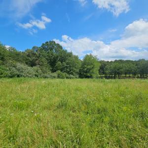 Photo #37 of 11145 BRENT TOWN RD, CATLETT, VA 36.9 acres