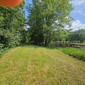 Photo #51 of 11145 BRENT TOWN RD, CATLETT, VA 36.9 acres