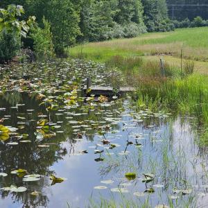 Photo #49 of 11145 BRENT TOWN RD, CATLETT, VA 36.9 acres