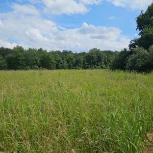 Photo #53 of 11145 BRENT TOWN RD, CATLETT, VA 36.9 acres