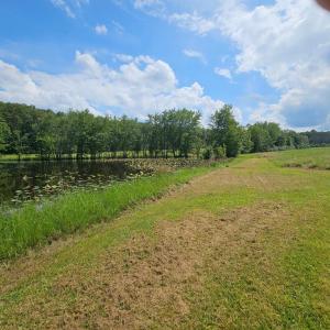 Photo #43 of 11145 BRENT TOWN RD, CATLETT, VA 36.9 acres