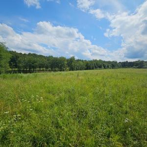 Photo #38 of 11145 BRENT TOWN RD, CATLETT, VA 36.9 acres
