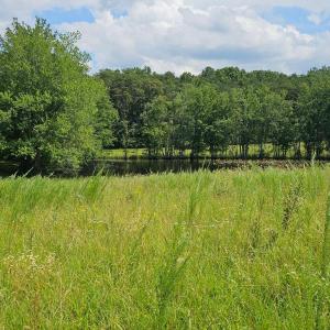 Photo #45 of 11145 BRENT TOWN RD, CATLETT, VA 36.9 acres