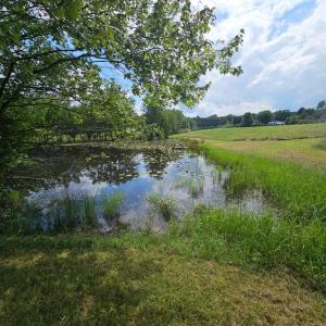 Photo #48 of 11145 BRENT TOWN RD, CATLETT, VA 36.9 acres