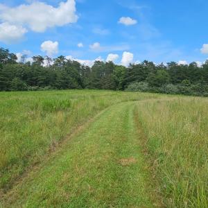 Photo #39 of 11145 BRENT TOWN RD, CATLETT, VA 36.9 acres