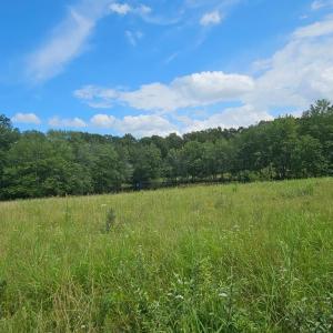 Photo #52 of 11145 BRENT TOWN RD, CATLETT, VA 36.9 acres