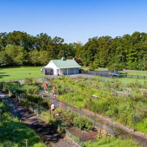 Photo #33 of 11701 LONGSTREET DR, SPOTSYLVANIA, VA 1.2 acres