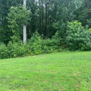Photo #2 of FAIRVIEW DRIVE, MINERAL, VA 1.0 acres