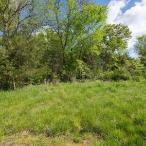 Photo #1 of PINEY RIDGE ROAD, REMINGTON, VA 9.3 acres