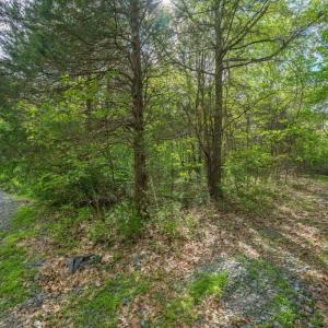 Photo #5 of PINEY RIDGE ROAD, REMINGTON, VA 9.3 acres