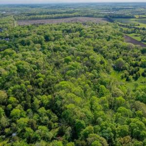 Photo #7 of PINEY RIDGE ROAD, REMINGTON, VA 9.3 acres