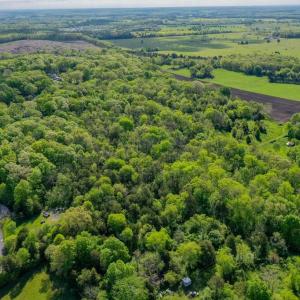 Photo #9 of PINEY RIDGE ROAD, REMINGTON, VA 9.3 acres
