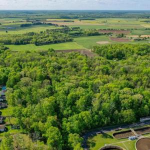 Photo #12 of PINEY RIDGE ROAD, REMINGTON, VA 9.3 acres