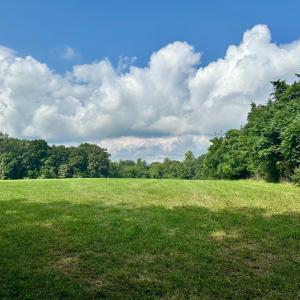 Photo #1 of BLACK HILL RD., RIXEYVILLE, VA 20.5 acres