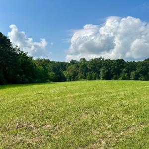 Photo #2 of BLACK HILL RD., RIXEYVILLE, VA 20.5 acres