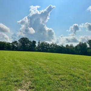 Photo #3 of BLACK HILL RD., RIXEYVILLE, VA 20.5 acres