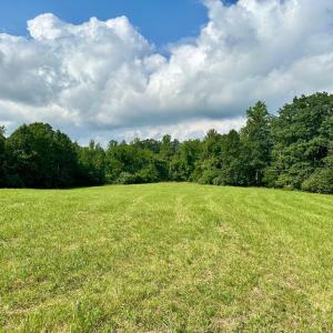 Photo #4 of BLACK HILL RD., RIXEYVILLE, VA 20.5 acres