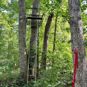 Photo #5 of BLACK HILL RD., RIXEYVILLE, VA 20.5 acres