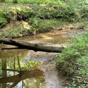 Photo #6 of BLACK HILL RD., RIXEYVILLE, VA 20.5 acres