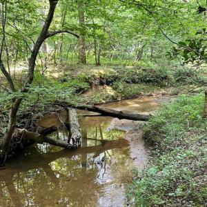 Photo #7 of BLACK HILL RD., RIXEYVILLE, VA 20.5 acres