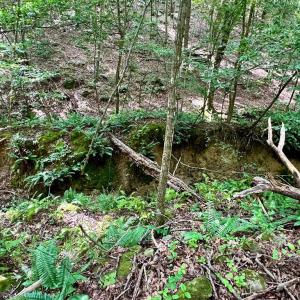 Photo #11 of BLACK HILL RD., RIXEYVILLE, VA 20.5 acres