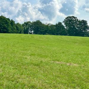 Photo #13 of BLACK HILL RD., RIXEYVILLE, VA 20.5 acres
