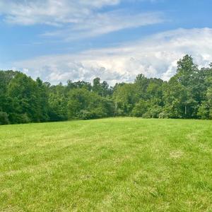 Photo #14 of BLACK HILL RD., RIXEYVILLE, VA 20.5 acres