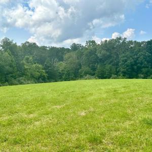 Photo #16 of BLACK HILL RD., RIXEYVILLE, VA 20.5 acres