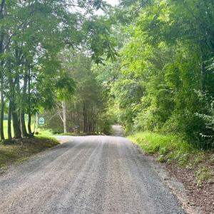 Photo #17 of BLACK HILL RD., RIXEYVILLE, VA 20.5 acres