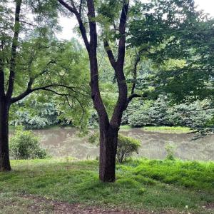 Photo #4 of HARMONY LANE, STANLEY, VA 1.1 acres