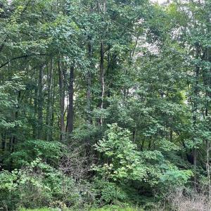 Photo #5 of HARMONY LANE, STANLEY, VA 1.1 acres