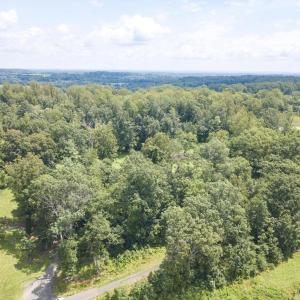 Photo #3 of 8437 JAMES MADISON HWY, WARRENTON, VA 9.9 acres