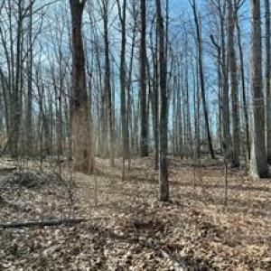 Photo #1 of 7120 DOMINIQUE DR, SPOTSYLVANIA, VA 5.4 acres