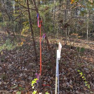 Photo #3 of 7120 DOMINIQUE DR, SPOTSYLVANIA, VA 5.4 acres