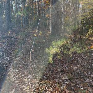 Photo #5 of 7120 DOMINIQUE DR, SPOTSYLVANIA, VA 5.4 acres