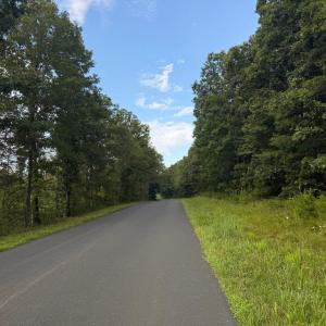 Photo #21 of GLADE RD, SHIPMAN, VA 11.1 acres