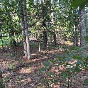 Photo #5 of LAKE FOREST DRIVE, MINERAL, VA 1.9 acres