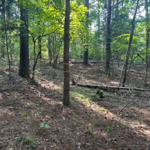 Photo #2 of LAKE FOREST DRIVE, MINERAL, VA 1.9 acres