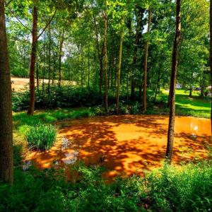 Photo #5 of 15 MONT VIEW LN, LURAY, VA 3.1 acres