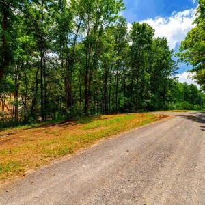 Photo #6 of 15 MONT VIEW LN, LURAY, VA 3.1 acres