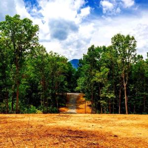 Photo #3 of 15 MONT VIEW LN, LURAY, VA 3.1 acres