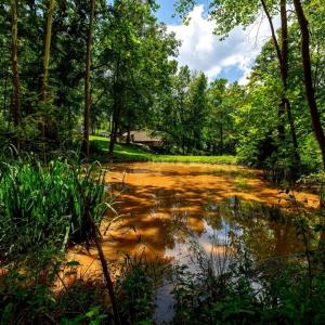 Photo #4 of 15 MONT VIEW LN, LURAY, VA 3.1 acres