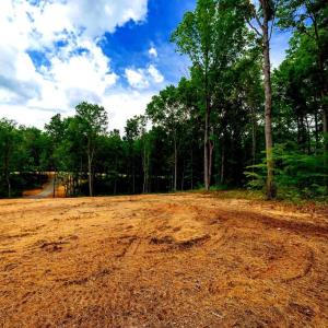 Photo #9 of 15 MONT VIEW LN, LURAY, VA 3.1 acres