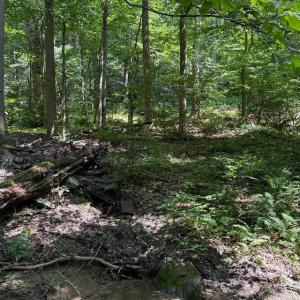 Photo #3 of 2 FIERY RUN RD, LINDEN, VA 8.8 acres