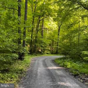 Photo #1 of 3 HARDSCRABBLE RD, LINDEN, VA 4.3 acres