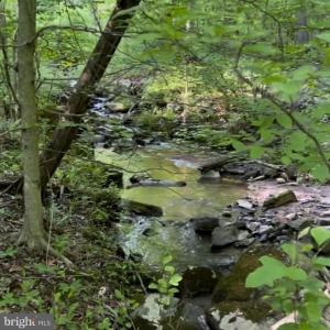 Photo #2 of 3 HARDSCRABBLE RD, LINDEN, VA 4.3 acres