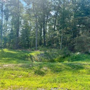 Photo #2 of BUCKNERS LANE, MINERAL, VA 1.9 acres