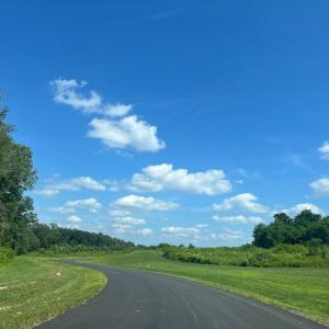 Photo #4 of BUCKNERS LANE, MINERAL, VA 1.9 acres