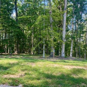 Photo #2 of SOUTHERN RIDGE, MINERAL, VA 1.5 acres